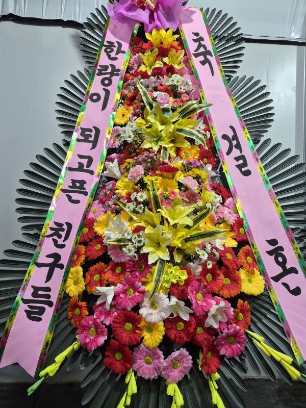 업로드 이미지
