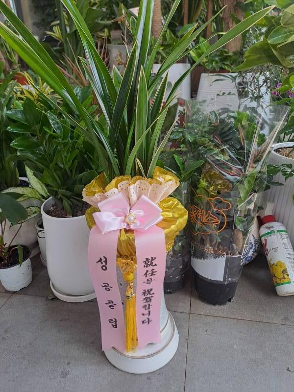 업로드 이미지