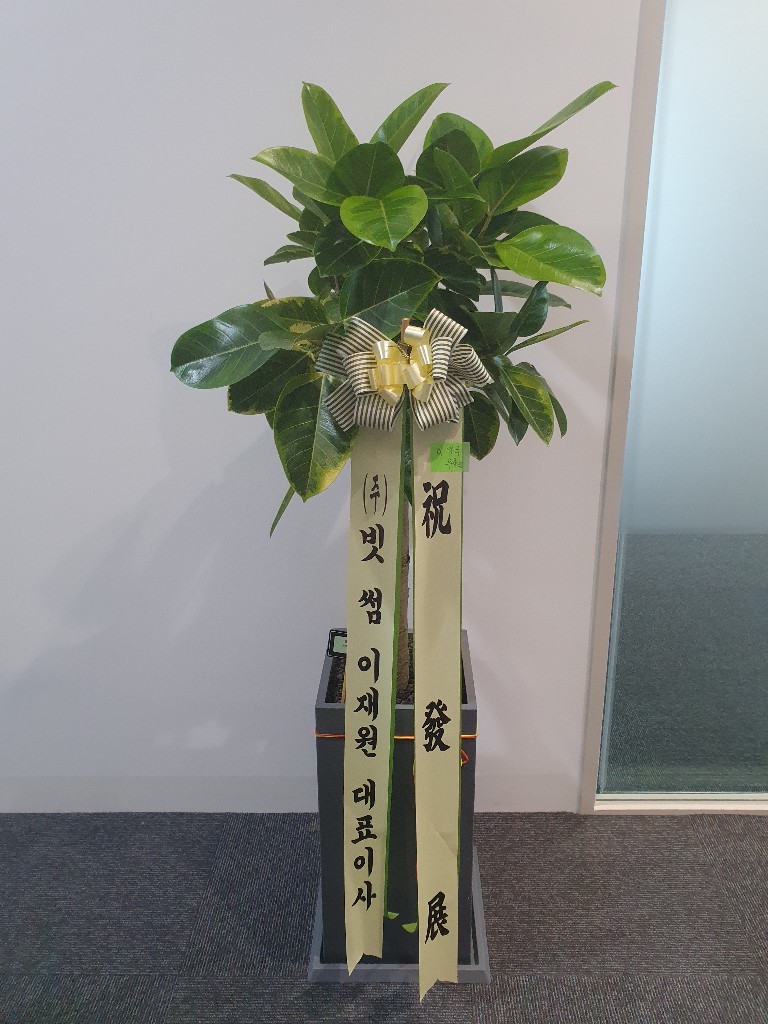 업로드 이미지