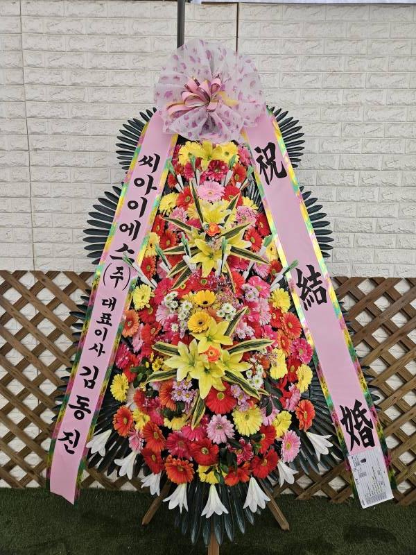 업로드 이미지