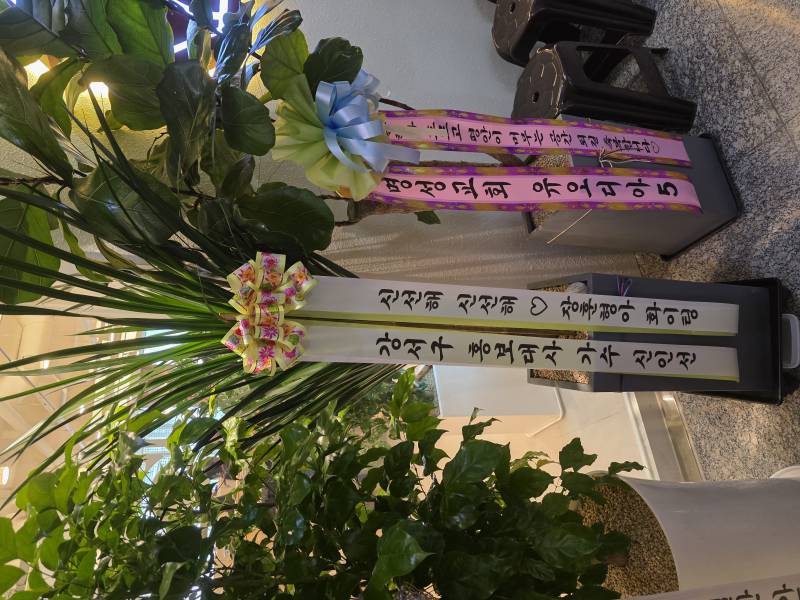 업로드 이미지