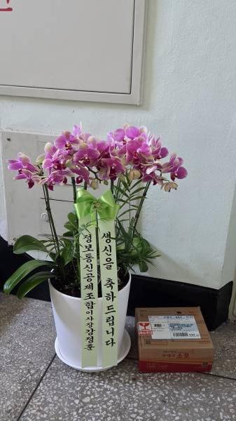 업로드 이미지