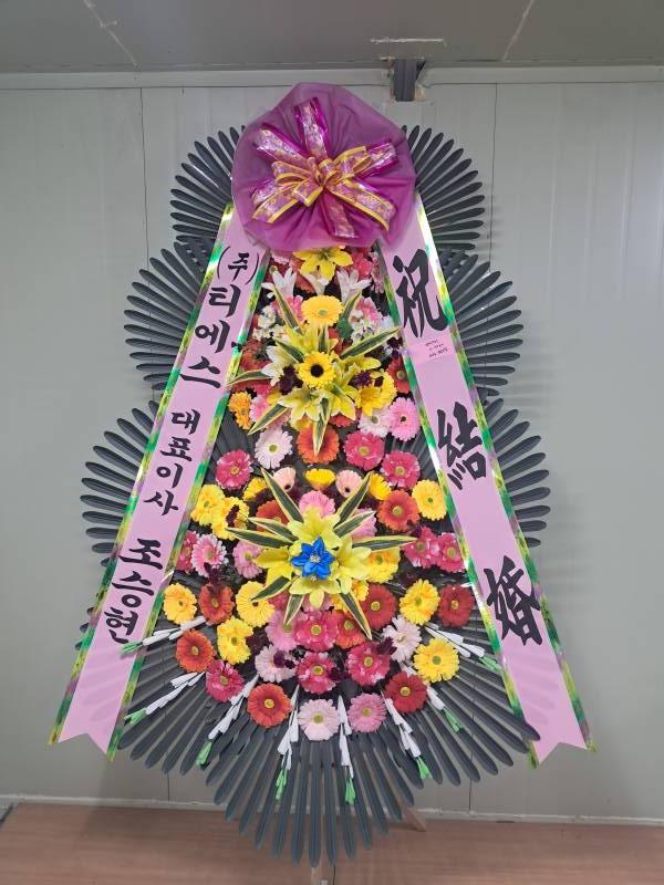 업로드 이미지