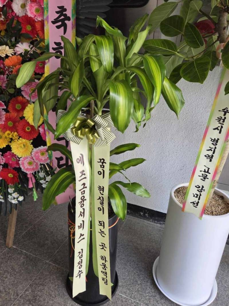 업로드 이미지