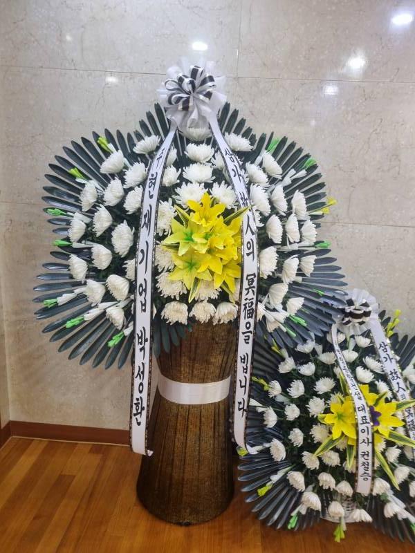 업로드 이미지