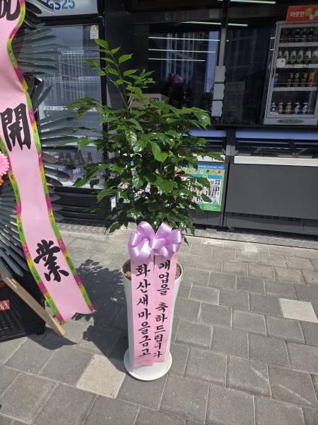 업로드 이미지