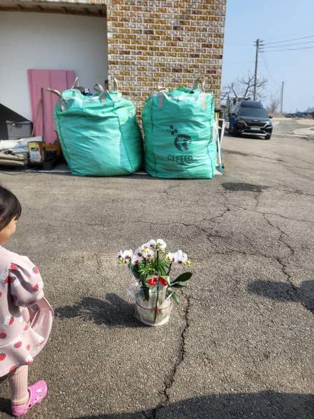 업로드 이미지