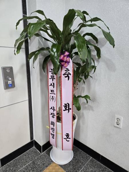 업로드 이미지