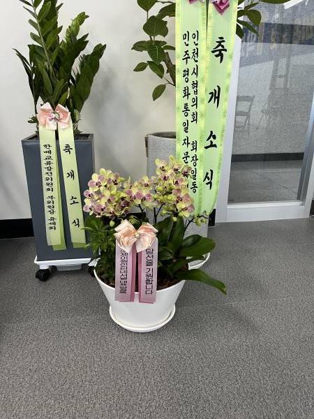 업로드 이미지