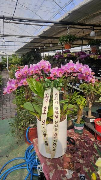 업로드 이미지