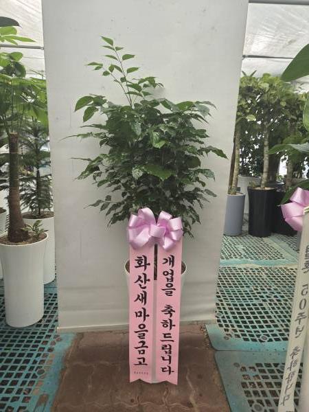 업로드 이미지