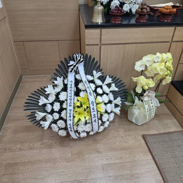 업로드 이미지