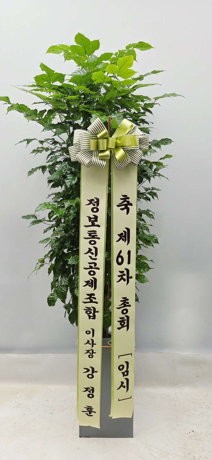 업로드 이미지