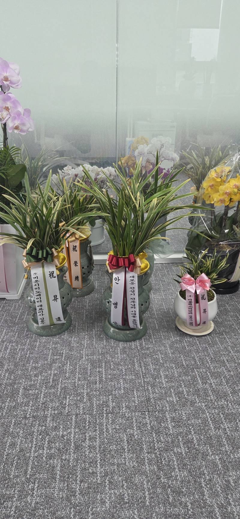 업로드 이미지