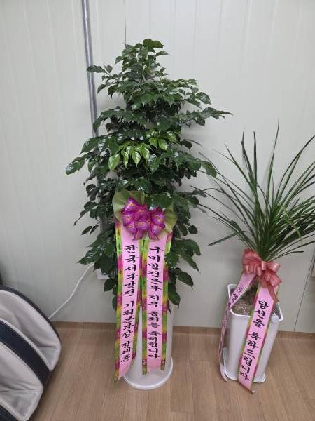 업로드 이미지