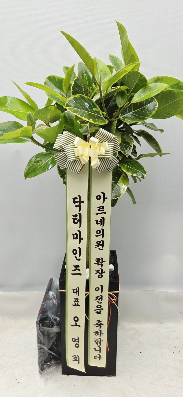 업로드 이미지