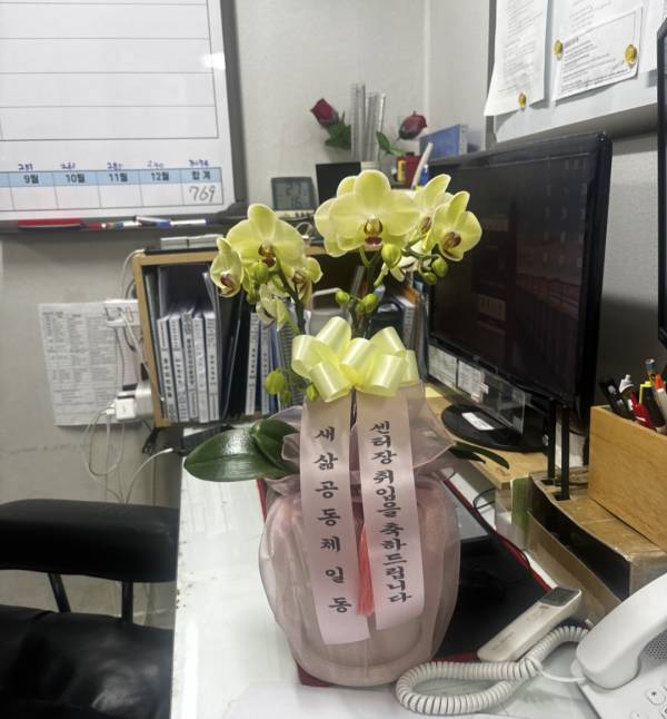 업로드 이미지