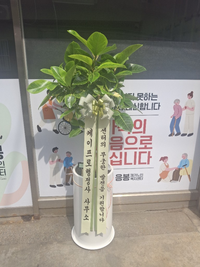 업로드 이미지