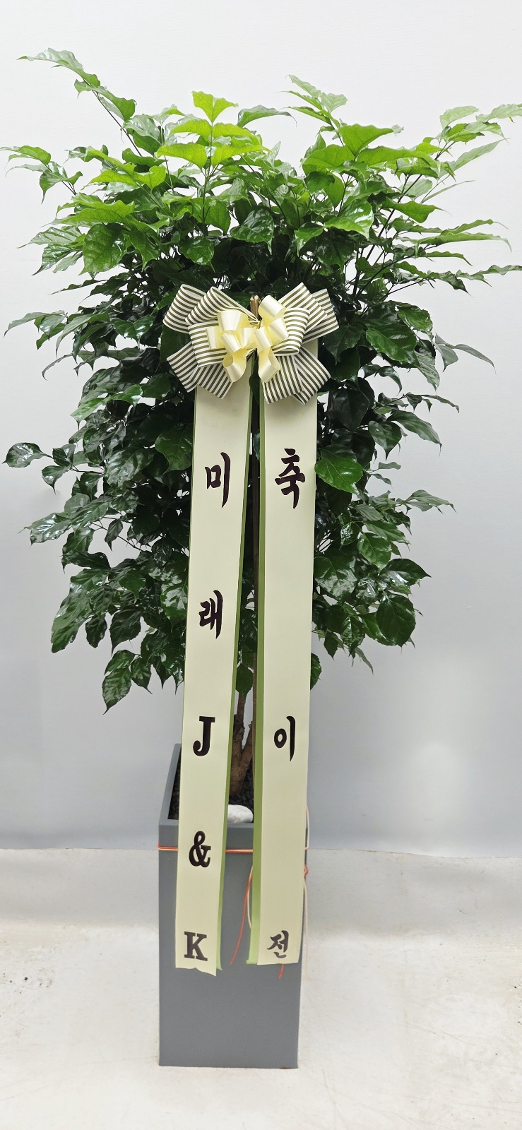업로드 이미지