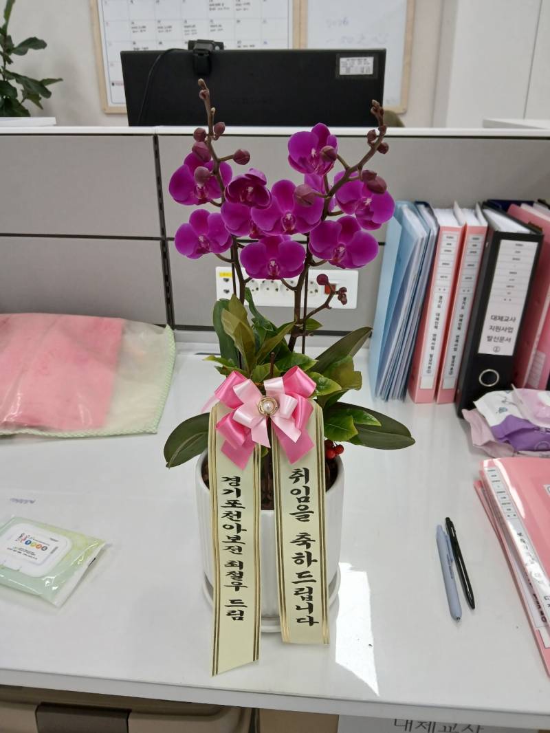 업로드 이미지