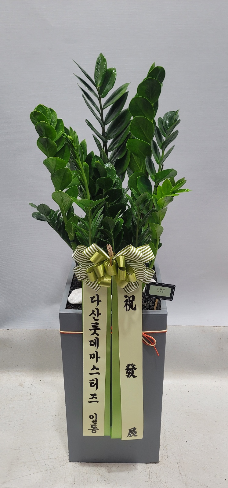 업로드 이미지