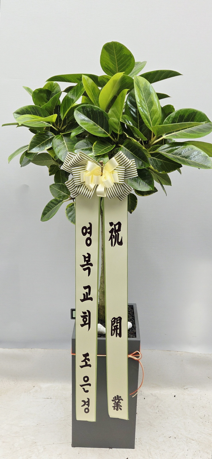 업로드 이미지