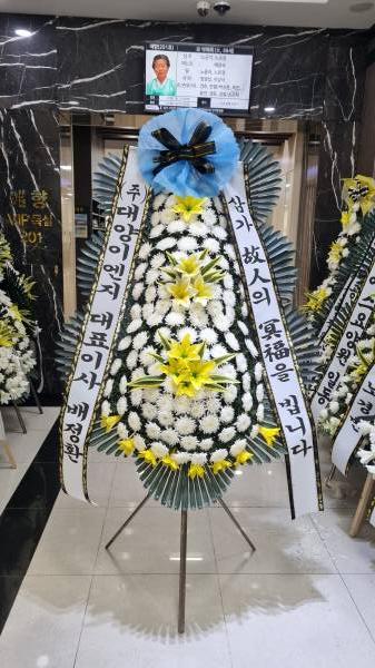 업로드 이미지