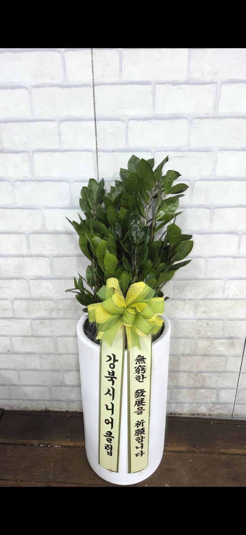 업로드 이미지