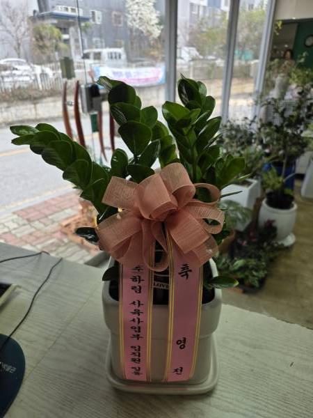 업로드 이미지