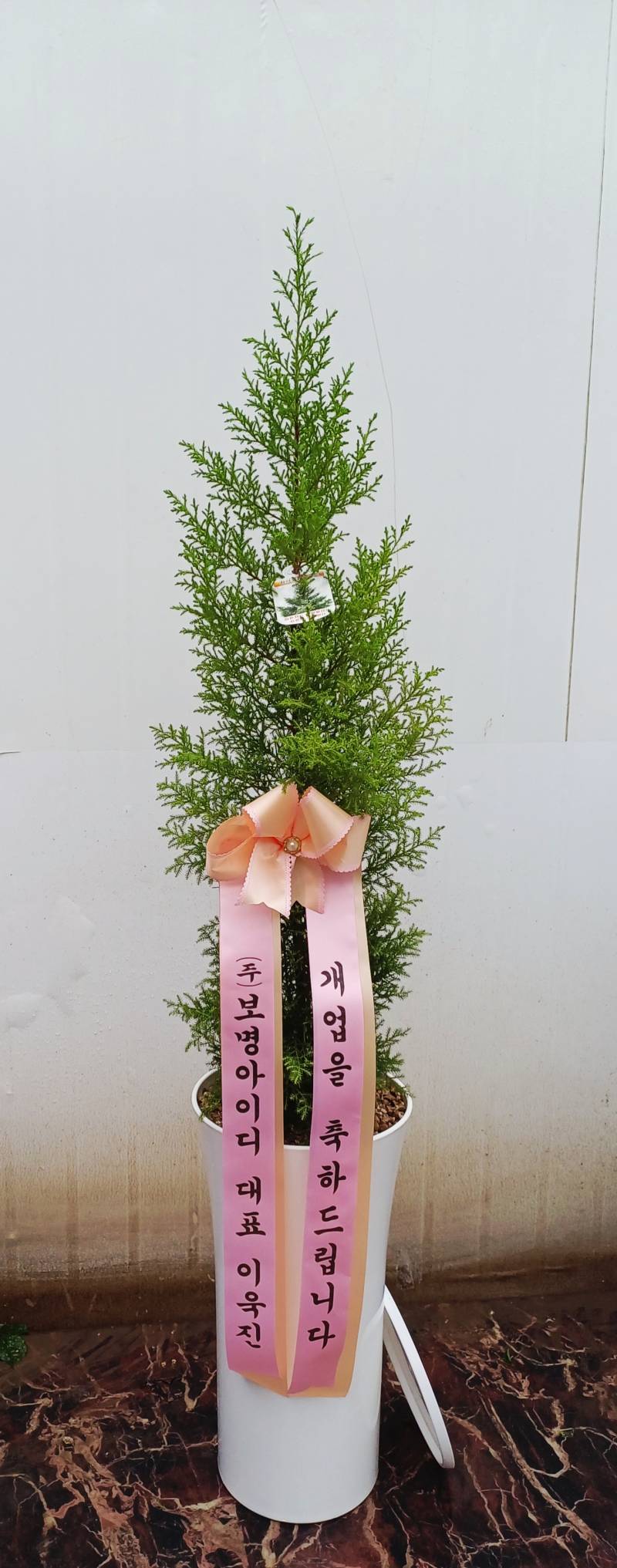 업로드 이미지