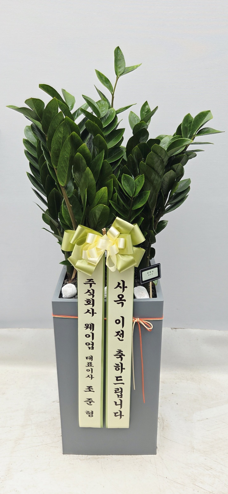 업로드 이미지