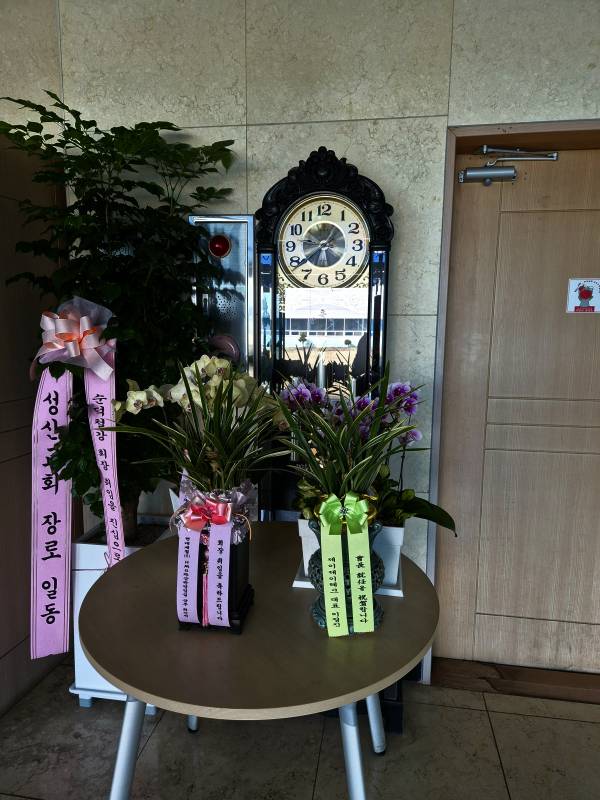 업로드 이미지