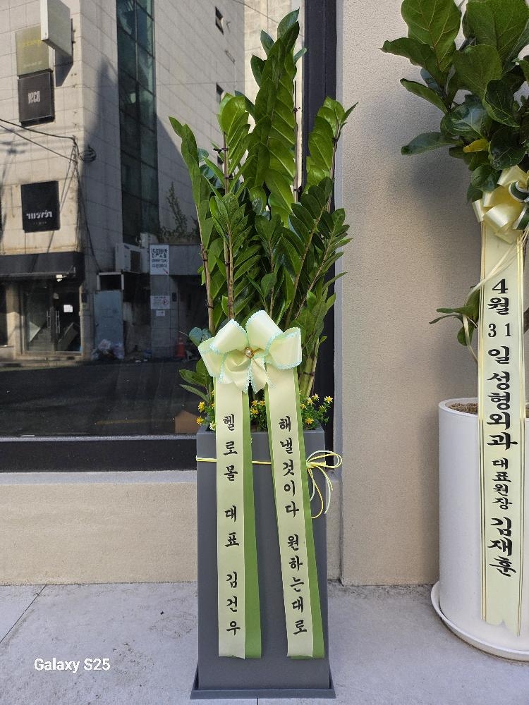 업로드 이미지