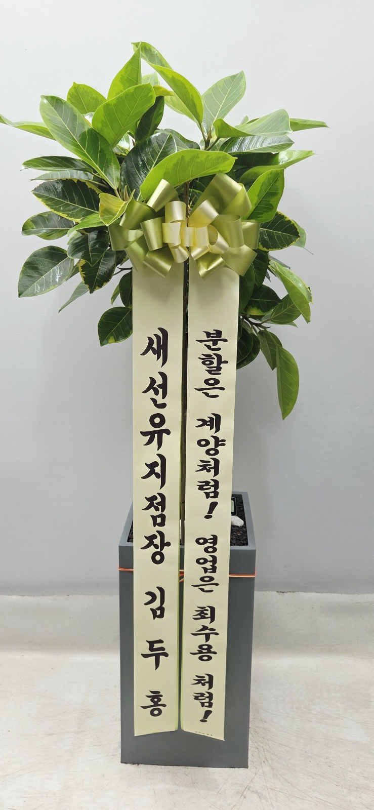 업로드 이미지