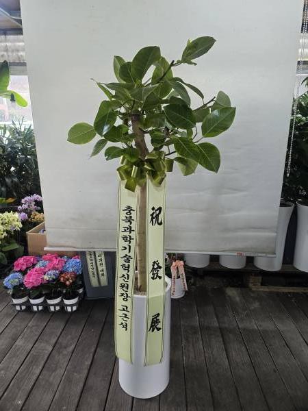 업로드 이미지
