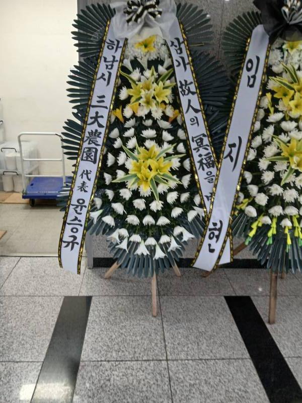 업로드 이미지