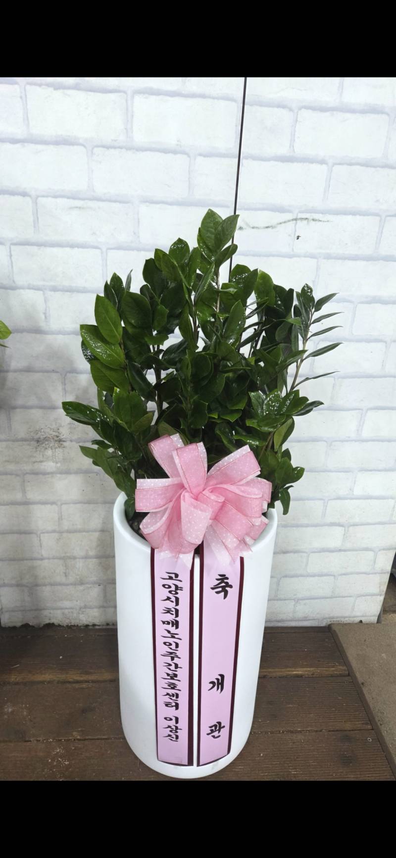 업로드 이미지