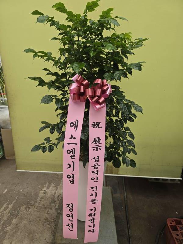 업로드 이미지