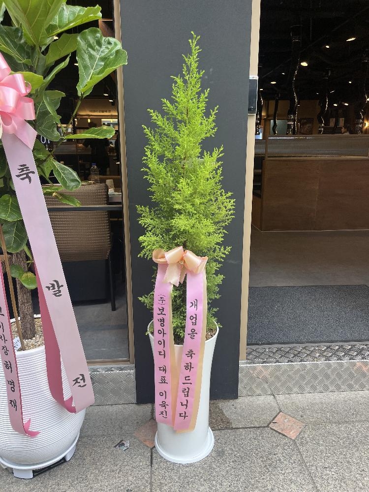 업로드 이미지