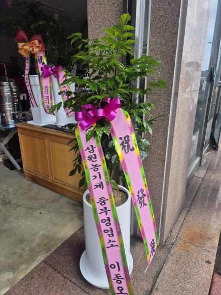업로드 이미지