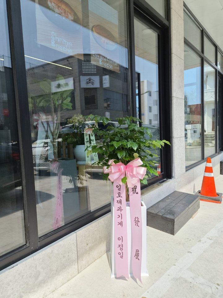 업로드 이미지