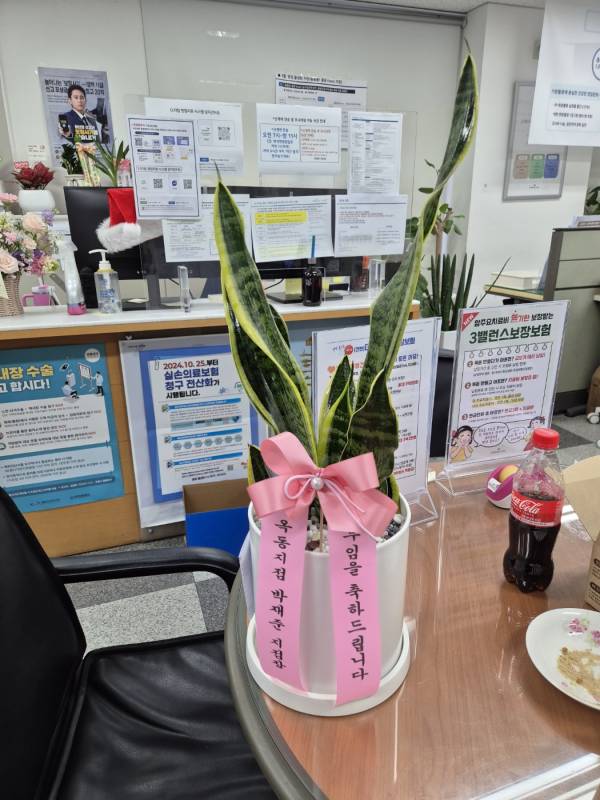 업로드 이미지