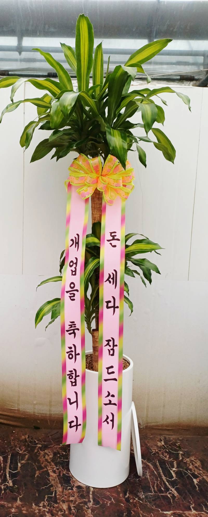 업로드 이미지