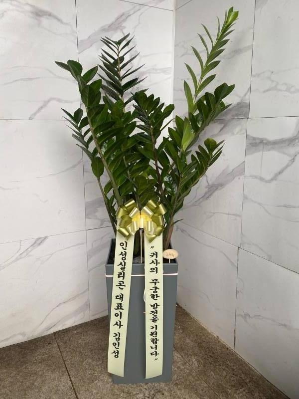 업로드 이미지