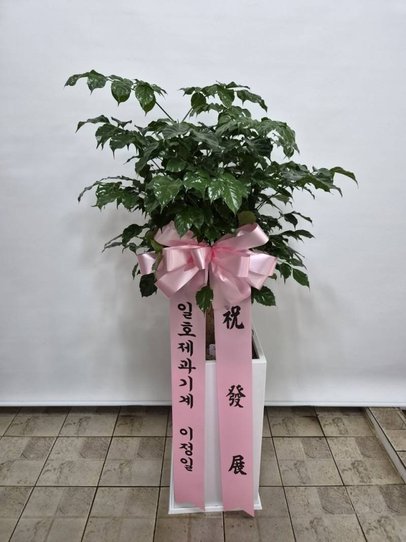 업로드 이미지