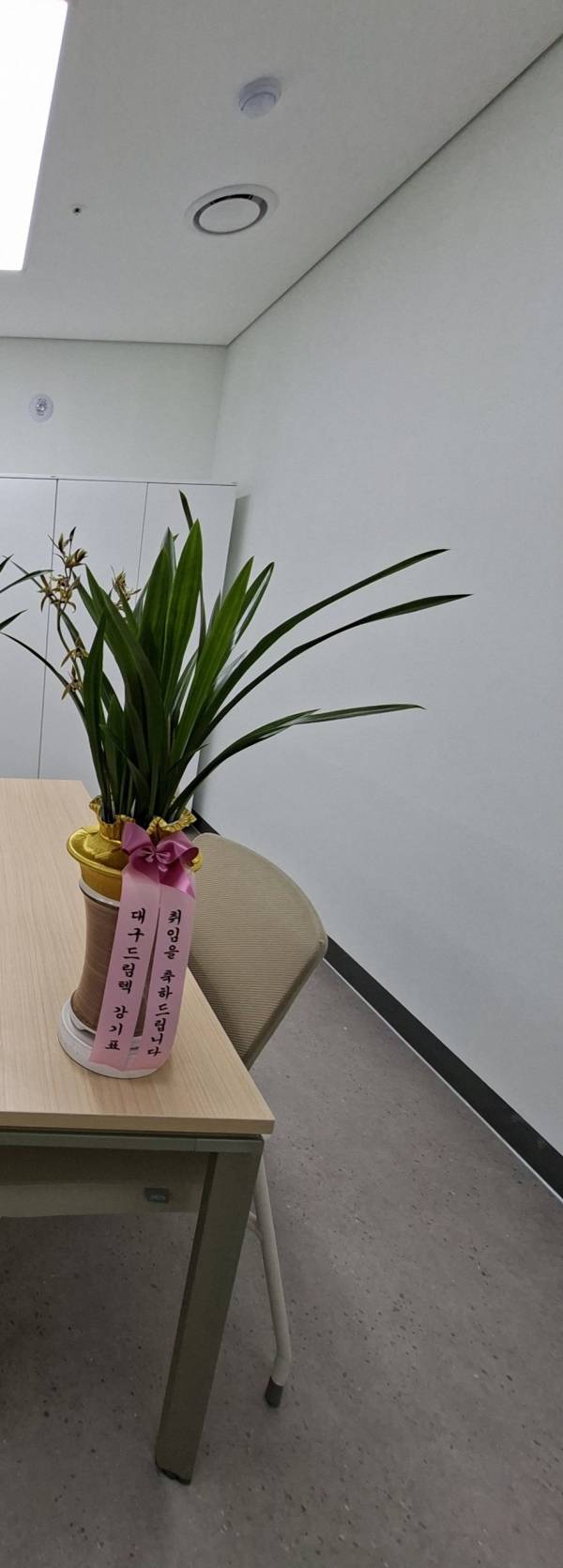 업로드 이미지