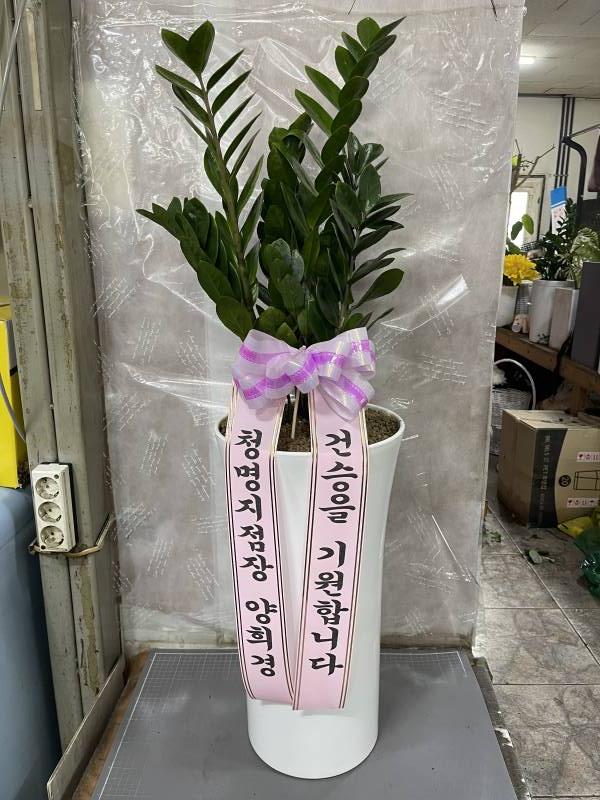 업로드 이미지
