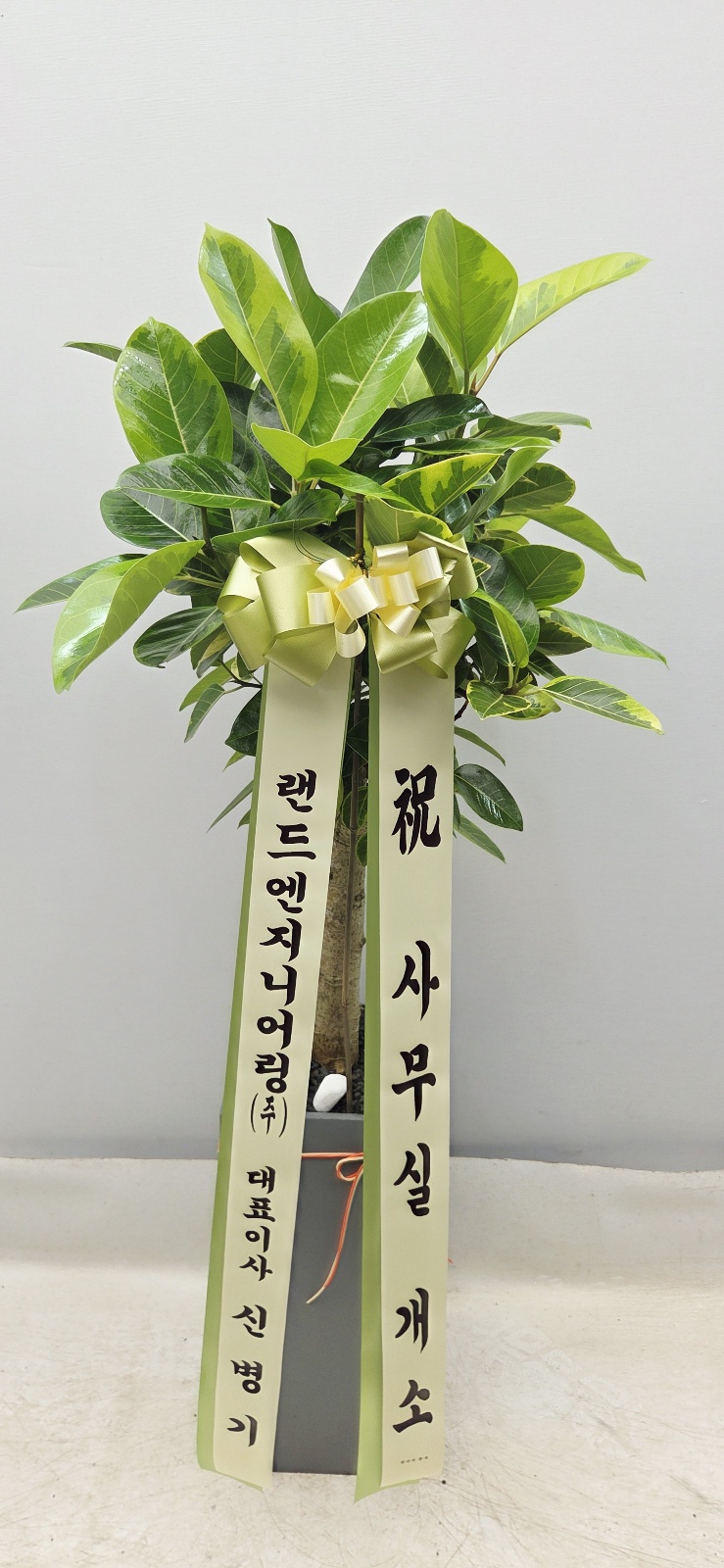 업로드 이미지
