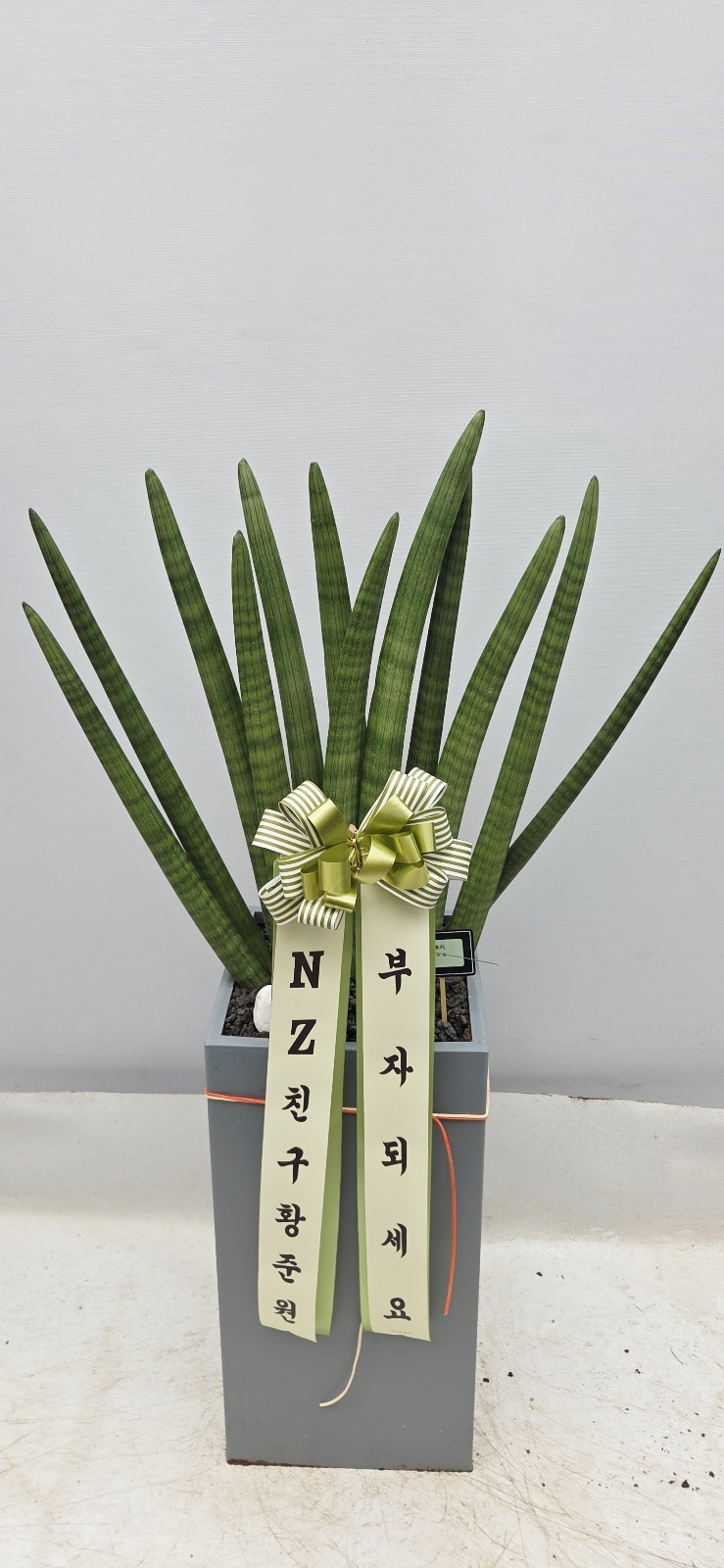 업로드 이미지