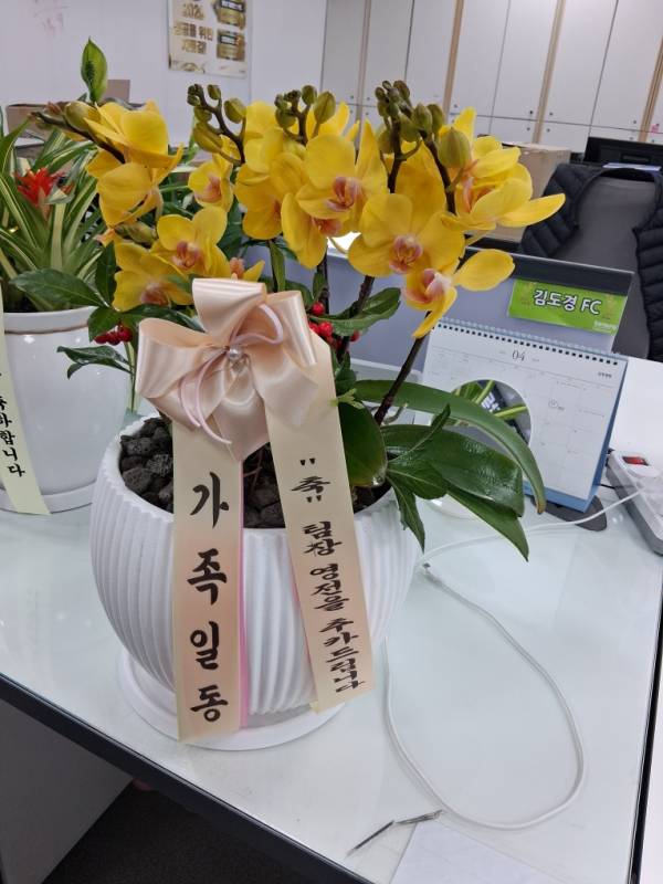 업로드 이미지